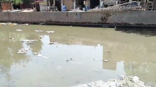 pollution /dirty water cannel Lahore Pakistan ????Release of drain water contaminates canals in