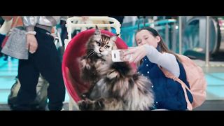 Cat And Dog 2024 - Theatrical Trailer
