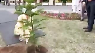 Nawaz