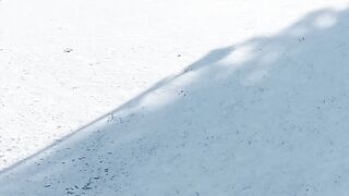 Snowfall