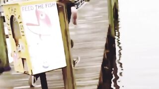 Funny video