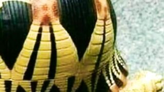 مقتطفات حول العالم ٧
