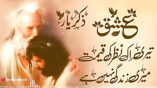 Teri ik nazar ki keemat meri zindgi ni he تیری اک نظر کی قیمت میری ذندگی نہیں ہے