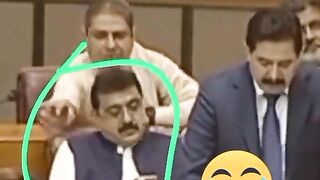 Funny video