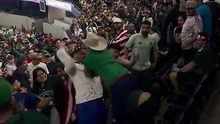 The fans got into a fight. Mexico vs USA