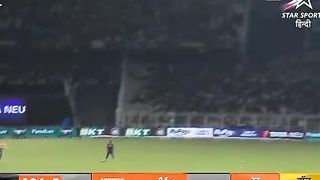 Cricket videos