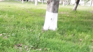 Nature beautiful view