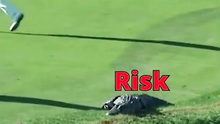 Best funny video