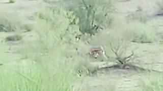 Watch video