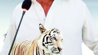 Nana abbu tiger
