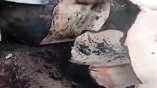 nice video