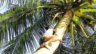 vairal video pat 1
