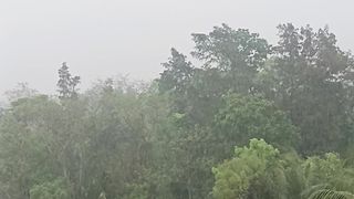 rain video