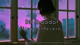 Dill ibadat Song