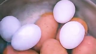Pakistani cooking