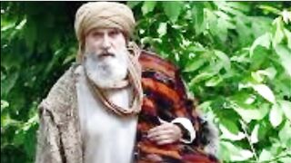 ابن العربی کون تھے؟