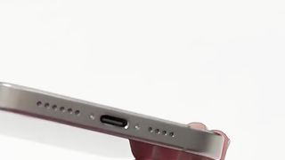 New Collection Apple