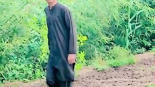Full masti