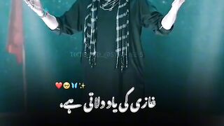 NAD33M SARWAR