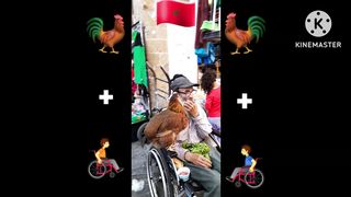#Handicape and #bird in #rabat #city of #Morocco