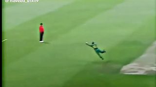 Cricket videos