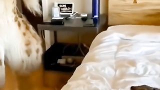 hhhhh