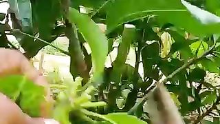 This video my amazing please watch