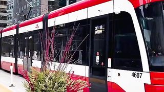 Canada_lafe