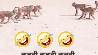 animal comedy promo part no: 01