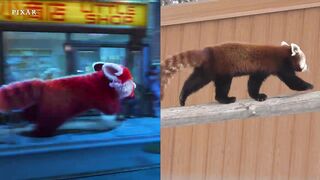 Turning Red Real Life Side-By-Side _ Pixar.