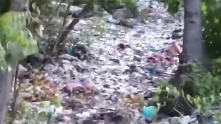 Love Earth????, Say 'No' to Littering Anywhere!???????? #funnycat #catmemes #trending
