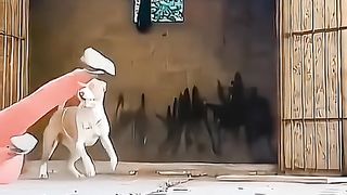 ???????????????????????? hhhhhh
