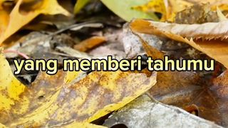 Kata-kata cinta