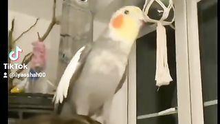 How love to dance
