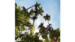 my fewret video