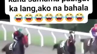 The horse has run away alone after knocking down the rider