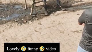 He was very drunk and dropped the bed