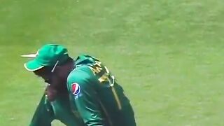 Cricket videos