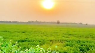 Funnu