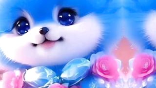 cute cat shorts video