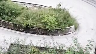 who’s fault is this?