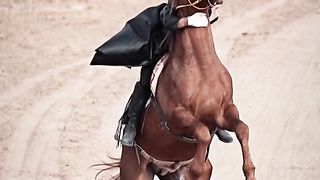 amazing# horse# stunt# viral# video# clip@