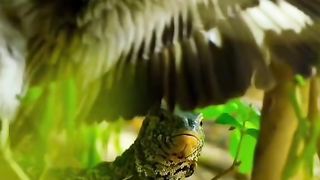 Amazing Fight Scene