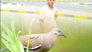 My Photo