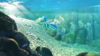 Disney and Pixar’s Luca _ Official Trailer _ Disney+.