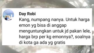 Harga EMON (TRN) itu yang pas berapa kang❓