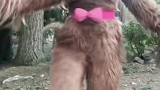 OMG Funny monkey