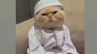 mention your friends ????????