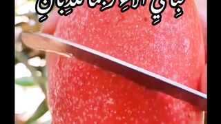 Subhanallha . qurani ayat
