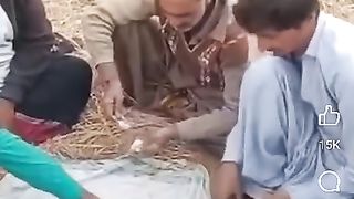 TikTok viral video TikTok viral video